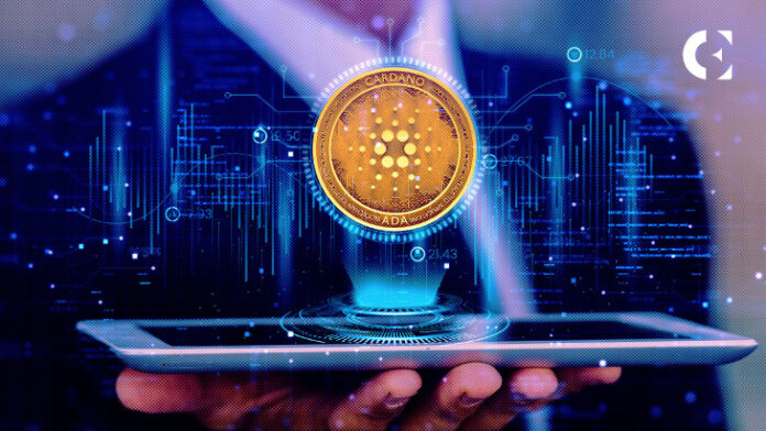 Cardano Whales Move In! ADA Price Hits 17-Month High Amid DeFi Boom