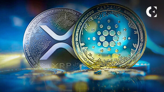 Pushd (PUSHD) is predicted to be the best investment of 2024 as holders of Cardano (ADA) and Ripple (XRP) buy in