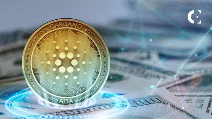 Cardano (ADA) holder trends see more investment into Kelexo (KLXO) presale while Chainlink (LINK) profits continue