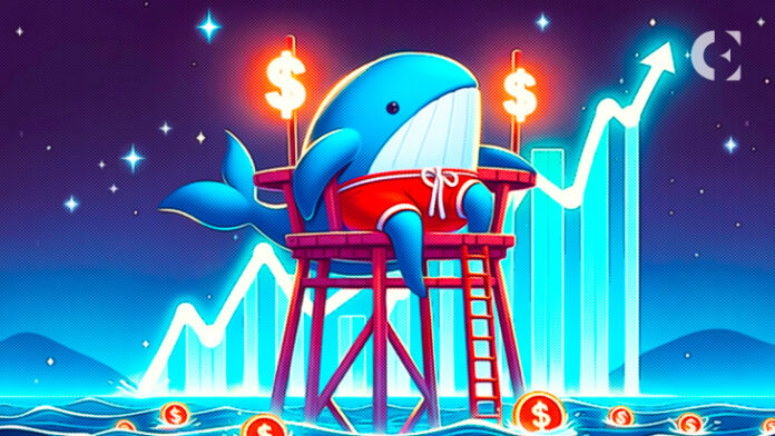 With the Rise of the Crypto Market, Whales Set Their Sights on Secretly Valuable Cryptos