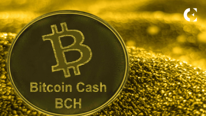 Polkadot (DOT) holders join Bitcoin Cash (BCH) investors in Pushd (PUSHD) e-commerce presale