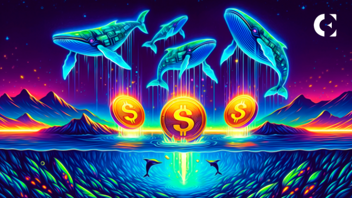 Top 3 Crypto Assets on Whales Radar for March