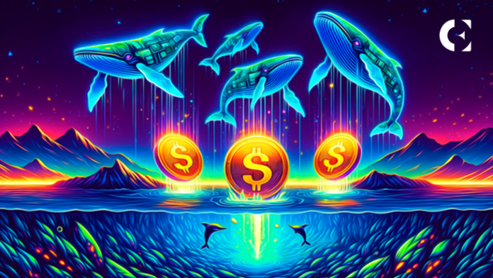 3 Aset Crypto Teratas di Whales Radar untuk bulan Maret