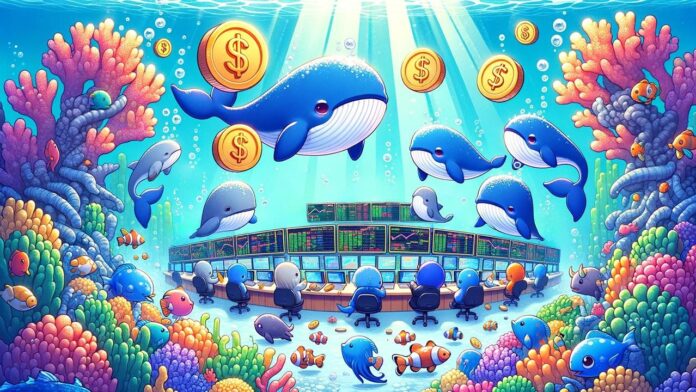 6 crypto-monnaies que les baleines ajoutent à leurs portefeuilles