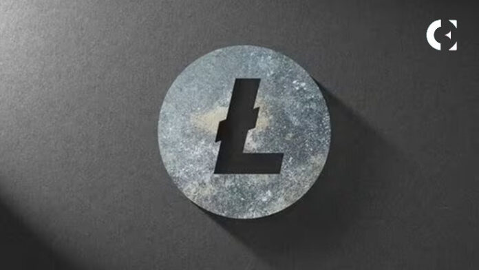 Litecoin (LTC) Bulls Flock to Pushd (PUSHD) E-Commerce Platform: 100X Returns Predicted Post Bitcoin (BTC) ATH