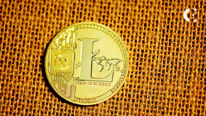 Raffle Coin (RAFF) Defies Norms with a Surge In Investor Interest: Litecoin (LTC) & Filecoin (FIL) Join The Revolution