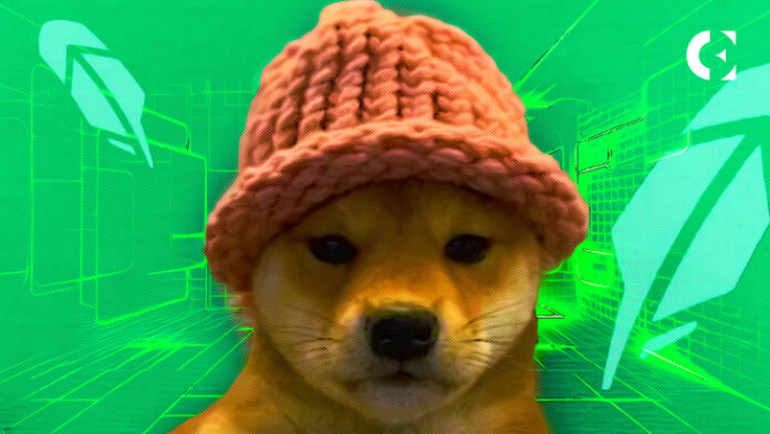 Binance Lists Dogwifhat (WIF) Amidst Dogecoin's Meteoric Rise: What's Next?