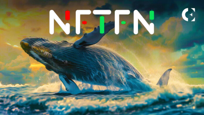 Why Crypto Whales Are Choosing NFTFN's Presale Over Soaring Solana and Cardano