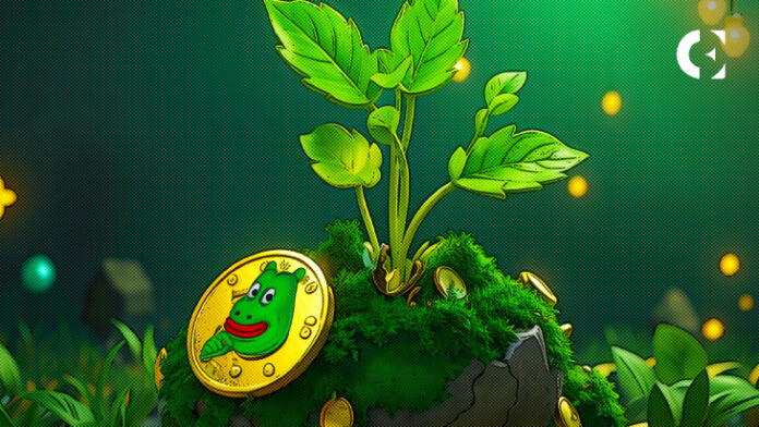 BEFE Coin: The Hottest Meme Coin Taking March by Storm!