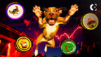 Crypto Rollercoaster as BONK, WIF, PEPE, FLOKI Plummet - What's Next?