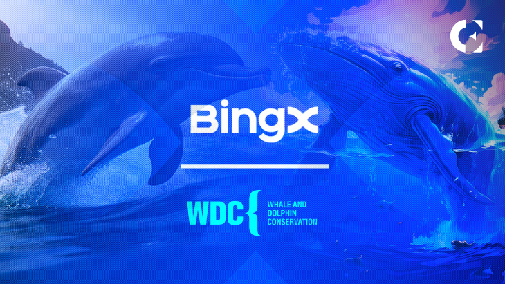 BingX and WDC Made Progress in Ending Captivity of Whales and Dolphins