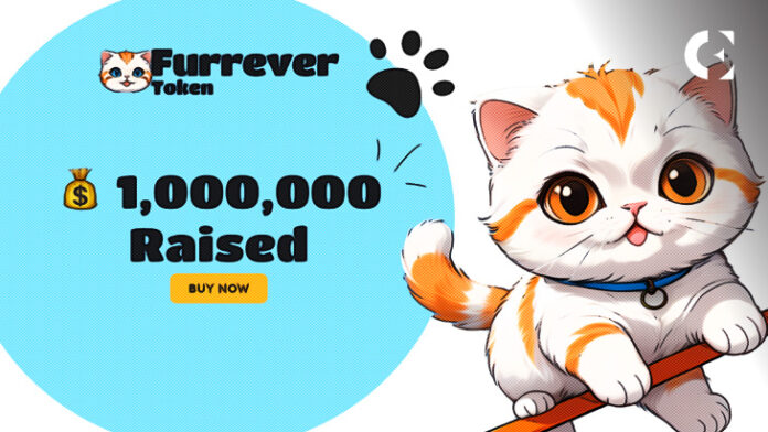 Meme Coins of 2024: Dogecoin (DOGE), Shiba Inu (SHIB), and Furrever Token (FURR) Surpass Expectations with FURR’s $1 Million Presale Triumph