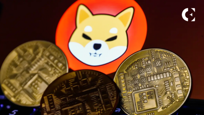 Innovative Algorithms Within Raffle Coin Presale’s Explodes Starting Shiba Inu and Frogwifhat Fans Scramble for 50X Gains