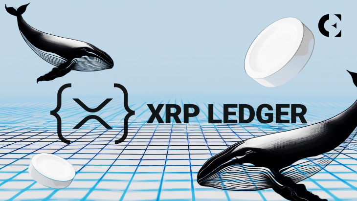 Whales Accumulate Bitcoin and XRP, Santiment Reports Possible Rally