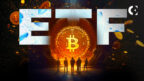 Bitcoin Spot ETFs Garner $217M Inflows: Key Players Revealed
