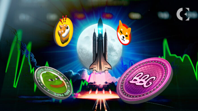 May's 1000X Alert PEPE, BONK, SHIB, and BBG Set for Moonshot