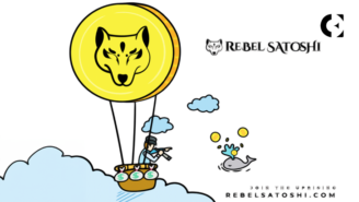 USDC Surpasses USDT in 2024’s Transaction Volume; Rebel Satoshi Gives Investors an Excellent Look at 100x Profits