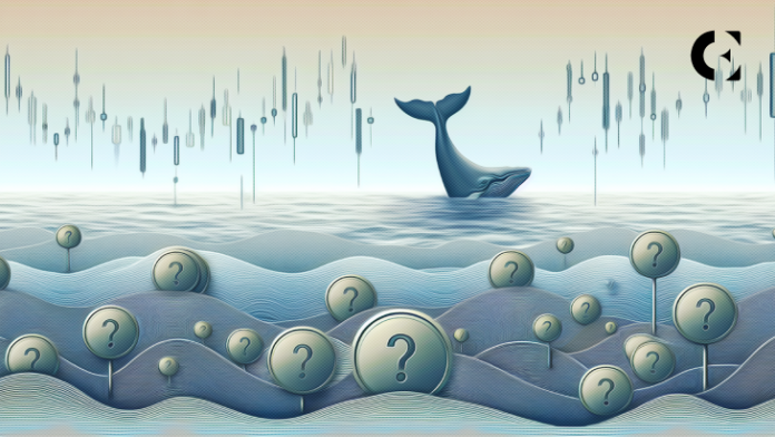 Top Cryptos Whales Are Accumulating In May: BlastUP, Aptos, and SEI