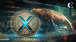 Renowned XRP Whale Move 30M Tokens to Exchange