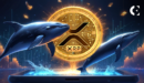 Coinbase NY’s XRP Trading Aligns with Whales’ Massive XRP Moves 

