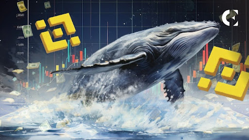 Binance видит исход токенов Ethereum из-за того, что киты перемещают активы
