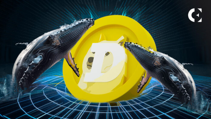 Market Reactions to Dogecoin Whale Accumulations: 200M DOGE Added