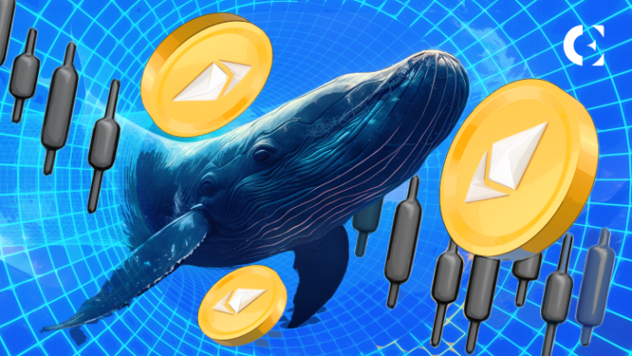 Whales Go on Buying Spree, Snapping Up $840 Million in ETH