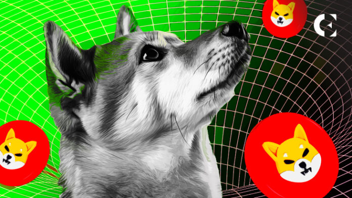 Is Shiba Inu's Rally a Dead Cat Bounce, or the Start of a Recovery?