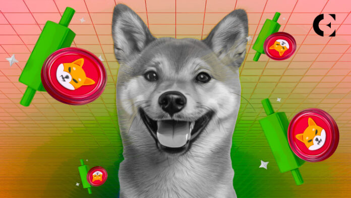 Shiba Inu’s Price Volatility: A Test for the Meme Coin Community