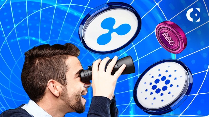 Why Solana and Cardano Enthusiasts are Turning to Barbie Girl Meme Coin