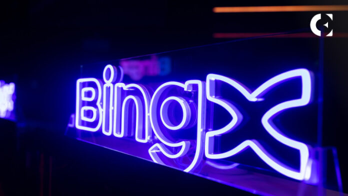 BingX’s Dynamic Second Quarter