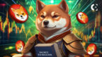 Shiba Inu's Secret to Success Uncovered: Spikes in Burn Rate and Network Activity