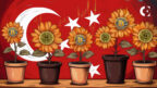 Turkey Introduces Comprehensive Crypto Regulation Amid Growing Market