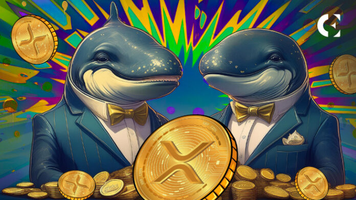 XRP Whales Scoop Up $84M in Tokens, Signaling Potential Breakout