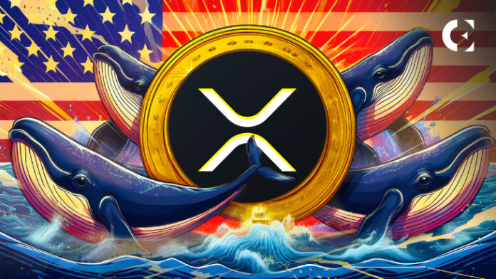 U.S. Platforms Present Suitable Avenues For XRP Whales