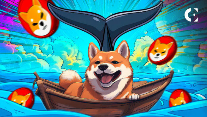 Shiba Inu (SHIB) Whale Holdings Surge, Prices to Skyrocket Soon?