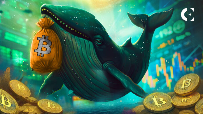 Is Bitcoin a Buy? Whales & Institutions Hint at Bullish Trend