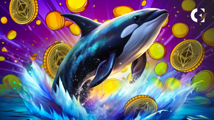 Ethereum Whale Capitalizes on Price Drop, Increases Holdings by 50%