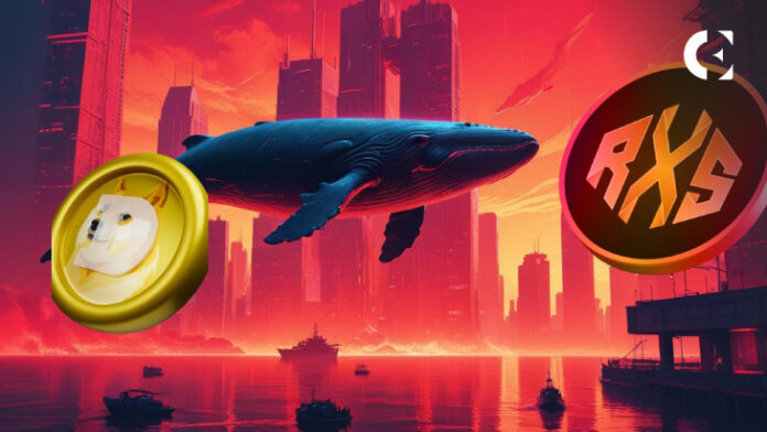 Crypto Whale Declares Dogecoin a “Dying Cryptocurrency,” Top 3 DOGE Alternatives to Save Your Portfolio Today