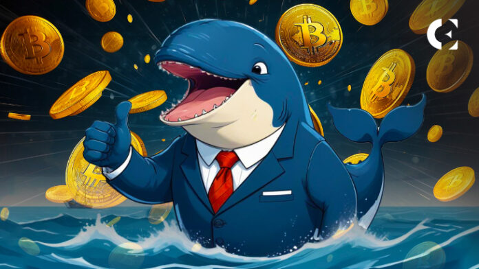 Bitcoin Whales Drive Record $37.4B On-Chain Transaction Volume