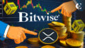 Bitwise Files for Ripple XRP ETF Ahead of US Election