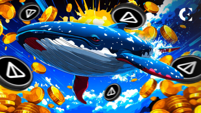 Notcoin (NOT) Whales Accumulate as Price Surges 11%