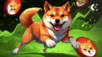 Shiba Inu (SHIB) Poised for a Parabolic Move Key Insights and Price Levels