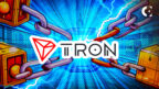 Is Tron's Energy Boost All About Meme Coins?