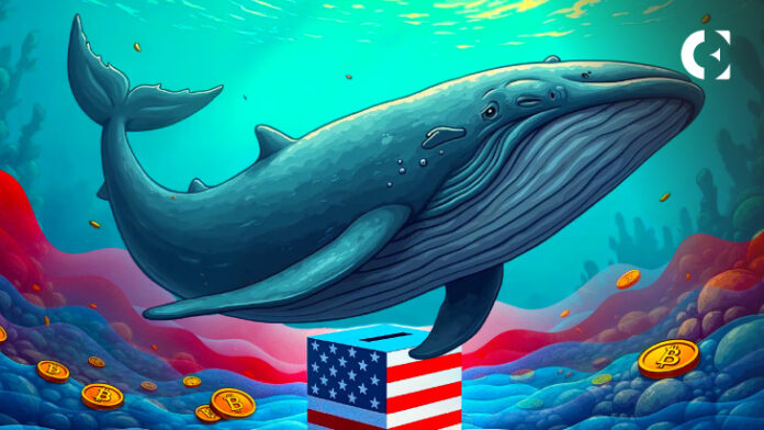 Bitcoin Whales Hold Back as U.S. Election Nears – What’s Next?