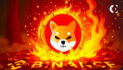 Shiba Inu's Soaring Burn Rate A Bullish Indicator or a Red Herring