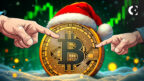 Wall Street Whales Preparing for Bitcoin Santa Pump Analyst Reveals