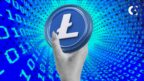 Litecoin Rebrands as Meme Coin, Calls for Blockchain Unity