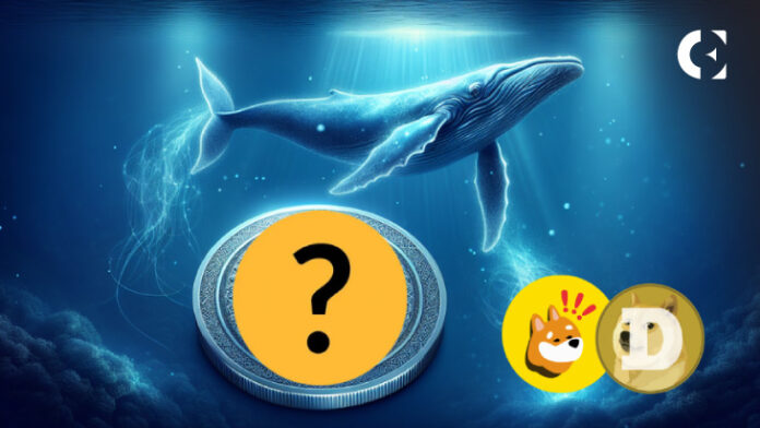 Les baleines cryptographiques abandonnent BONK et DOGE pour cette nouvelle pièce mème qui devrait monter en flèche de 10 000 % au prochain trimestre