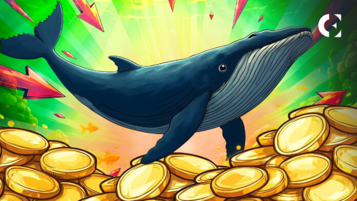 Crypto Whales Moving Millions to Centralized Exchanges A Sign of Market Uncertainty